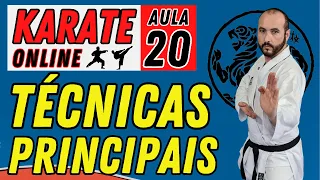 KARATE ONLINE | AULA 20 | APRIMORANDO AS PRINCIPAIS TÉCNICAS DO KARATE SHOTOKAN