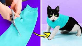 Genius Hacks And Crafts For Smart Pet Owners