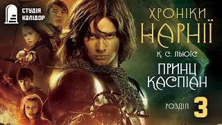 Клайв Льюіс "Хроніки "Принц Каспіан" розділ 3 #аудіокнигиукраїнською #audiobook #книги #нарнія