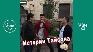 Истории Тайсона 1 - 12 серии 🤛🏼