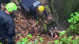 Dog rescued from sinkhole in Craig Co.