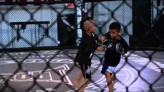 маленькие бойцы MMA