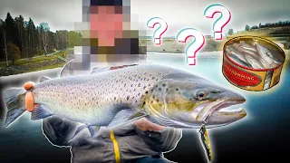 PENALTY FISHING - Trout Fishing (Loser Must Eat Surströmming) | Team Galant