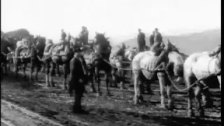 Transport d'une tourelle par un attelage de 60 chevaux ( 1896 год )