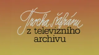 Trocha šafránu z televizního archivu ❖ Ilja Racek přivítá režiséra Vladimíra Síse (1995)