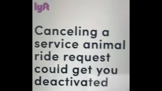 Many Uber and Lyft drivers get deactivated over denying service dogs. What you can & cannot say.