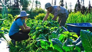 Creating an Off Grid Life | Summer in Alaska