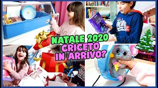 🎄Natale 2020🎅🏻 regali e... criceto in arrivo?🐹