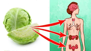 Eating Cabbage Regularly Can Be Life Changing, Here's Why.