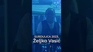 Zeljko Vasic // Surdulica 2023. #zeljkovasic #balkan #music #surdulica @ZeljkoVasicVIPPER