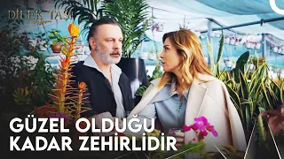 Güzelliğin Benliğimi Benden Aldı! - Dilek Taşı