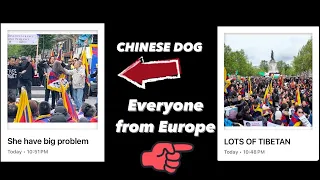 HERE COMES CHINESE DOG SHE HAVE BIG PROBLEMS & LOTS OF TIBETAN EVERYONE THANK YOU 🙏🏼 #tibetanvlogger