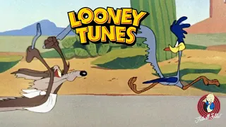 Looney tunes : Bip bip et Coyote