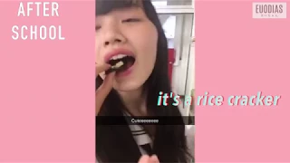 Japanese High School Life (Snapchat Compilation of My Exchange) | Euodias