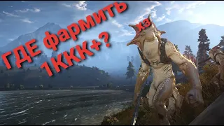 Где фармить 1лярд в час в Black Desert Online даже новичку?!Тайм коды в описании видео