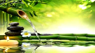 Relaxing music +  Bamboo Water Fountain for Stress Relief/Meditation/Study/Sleep/Spa