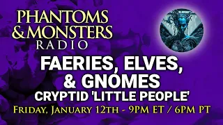 FAERIES, ELVES, & GNOMES - CRYPTID 'LITTLE PEOPLE' - LIVE Chat - Q & A - Lon Strickler (Host)