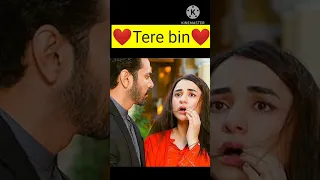 Tere bin episode 12 #shorts #shortvideo #terebin #yumnazaidi #wahajali #harpalgeo #viral