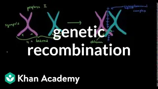 Genetic recombination 1 | Biomolecules | MCAT | Khan Academy
