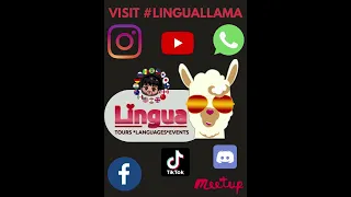 Lingua🦙Llama Promo VIdeo 2022