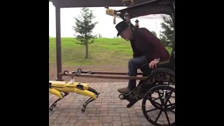 Adam Savage With His New Horse Robot!😂
