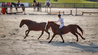 Rune Freestyle | 2019 Georgia Open Mustang Show