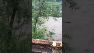 Рахівський р-н річка Чорна Тиса Відео 2