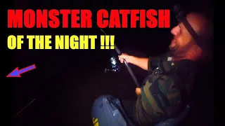 MONSTER CATFISH Of The Night !!!