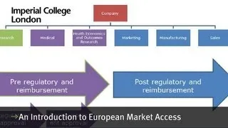 An introduction to european market access