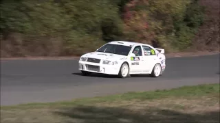 Věroslav Cvrček - Rally Klatovy 2015 - Škoda Octavia WRC