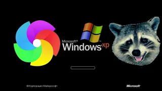 Windows XP в 2021 не открываются сайты? Простое решение! Обновленный гайд и тест браузеров.