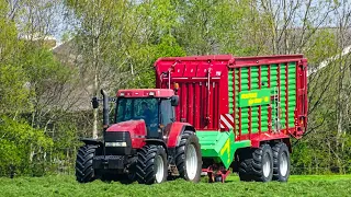 Gras inkuilen 2022 met Case IH