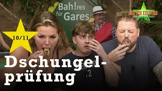 Tim, Kim & Felix in der Essensprüfung "Bah!res für Gares" ⭐️ | Dschungelcamp 2024