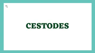 Cestodes Parasitology | Introduction to Tapeworms  | MEDZUKHRUF