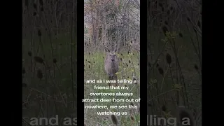 Overtone Singing Attracts Deer