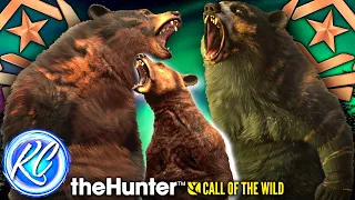 Glacier & Chestnut Great One Black Bears UP CLOSE & a MYTHICAL Cinnamon Bear! | Call of the Wild