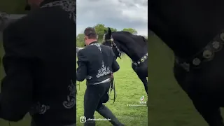 An amazing Jonathan Marshall performance - Horseback & Falcon