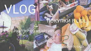 VLOG | День из жизни в Сербии: румтур по квартире, прогулка по саду, распаковка продуктов из Lidl