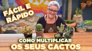 COMO REPRODUZIR os seus cactos de maneira FÁCIL E RÁPIDA  Tenha um jardim de cactos! 🌵