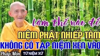 LÀM THẾ NÀO ĐỂ NIỆM PHẬT NHIẾP TÂM KHÔNG CÓ TẠP NIỆM XEN VÀO - HT THÍCH GIÁC KHANG