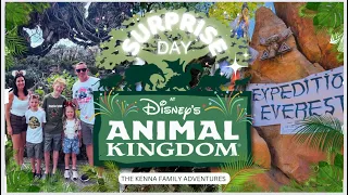 Thrills and Adventure at Disney's Animal Kingdom