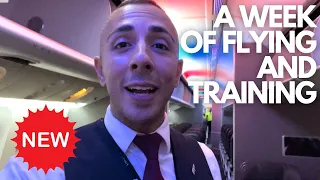 WORKING ON A BIG AIRPLANE & GOING TO YEARLY FLIGHT ATTENDANT TRAINING | FLIGHT ATTENDANT LIFE