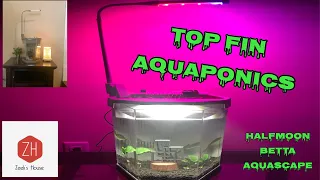 How To: Top Fin Aquaponics | Top Fin Prosper | Betta Aquascape | 2 Gallon Nano