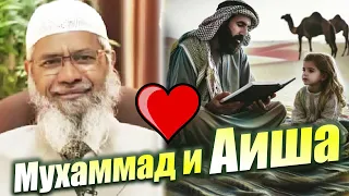 Мухаммад и Аиша | Мнение ученых | Закир Найк | ППР | Созревание | ПИРС БРОСНАН