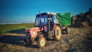 Zetor 6011 | Odvoz slámy na podestýlku | *original sound* | Farm BOY