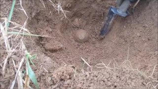 Metal Detecting First Artillery Shell for 2017