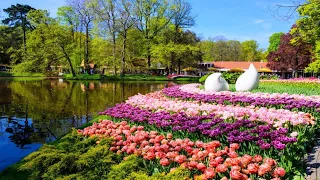 The Most Beautiful Gardens in Europe / The Most Beautiful Gardens in the World 🌷🌹💐🏵️🌸🌺🌷🥀🌱🌴