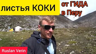 листья КОКИ от гида в Перу / ВЕЛОПУТЕШЕСТВИЕ / Ruslan Verin #61