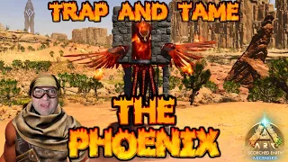 How to TRAP & TAME the Phoenix | Ark Survival Ascended