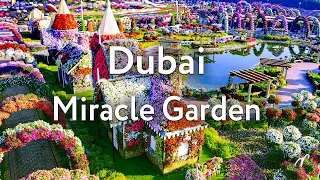Парк цветов в Дубае | Dubai Miracle Garden | Сад Чудес | Дубай 2023